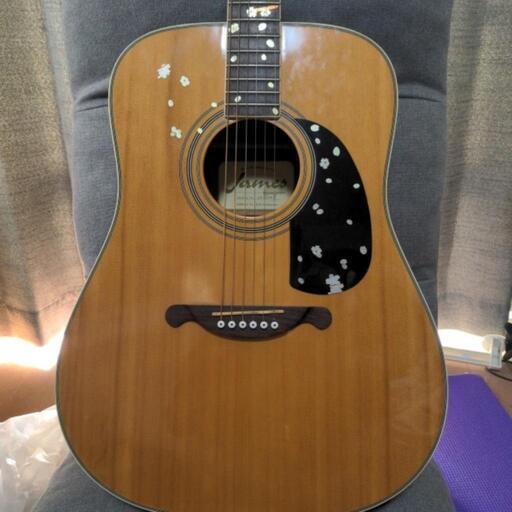 James JD350NA アコースティックギター