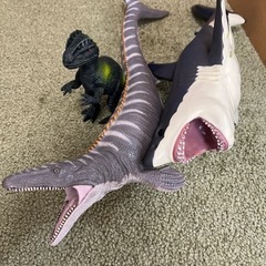 【決まりました】サメ、モササウルス、恐竜