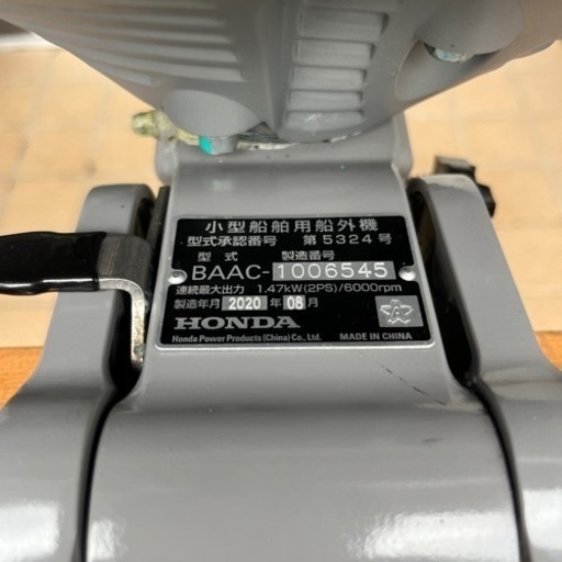 掛け軸 森山観月 寿龜 寿亀 亀 紙本 希少 軸装 茶道具 掛軸 美品 です。