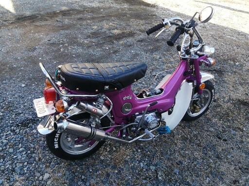 シャリー シャリー シャリー シート 美品 シャリー50/ホンダの新車