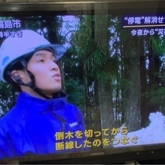 東芝 LED REGZA 42Z1＋Fire TV Stick