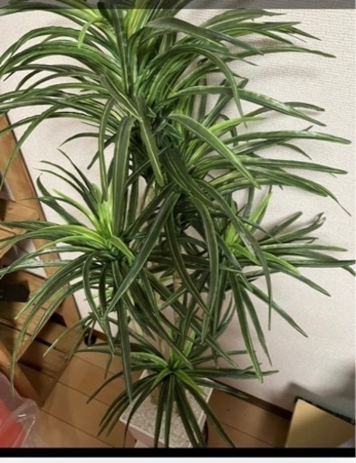フェイクグリーン 中型 約100cm 人工観葉植物 光触媒加工 造花 