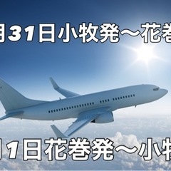 【ネット決済・配送可】【往復航空券】2022年12月31日名古屋...