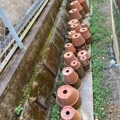 【無料】植木鉢80個以上