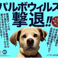 除菌液 あのえ 値引き中（特別価格 2023.1/20まで）