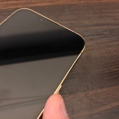 iPhone 13 Pro 128G デモ機　SIMフリー　⚠︎明日まで