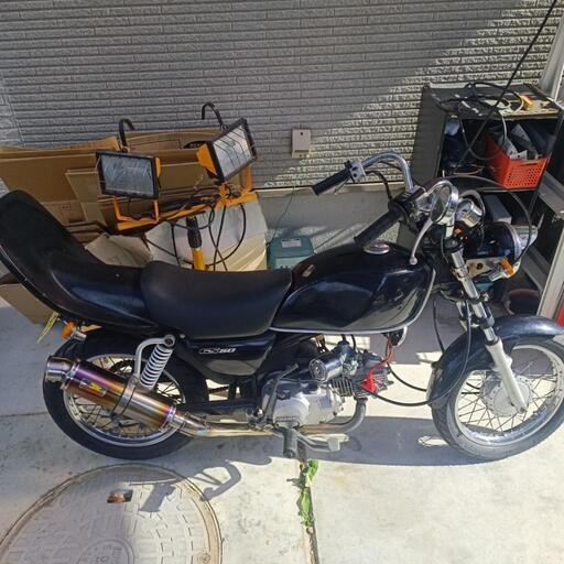 くったりボーダーコリー ☆ネロ☆ ウルトラBIG