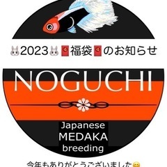 2023🐰メダカ福袋🧧のご案内 - 三養基郡