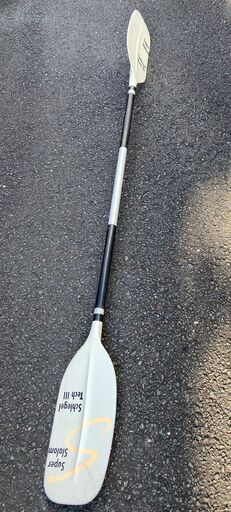 PERECPTION TORRENT シットオンカヤック と パドル