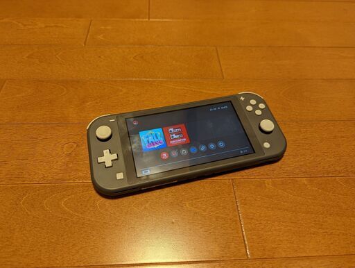 任天堂 Nintendo Switch Lite スイッチライト グレー ＆ ケース 物々交換OK