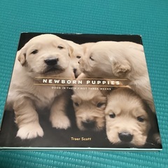 新品　Newborn Puppies 赤ちゃん犬写真集500円