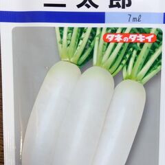 【3月〜種まき適期】ダイコン三太郎 種子30粒+ お試し量