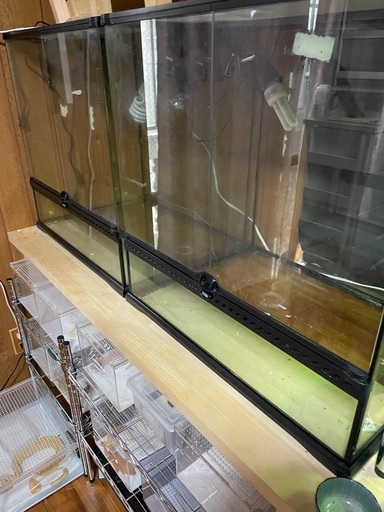 爬虫類飼育ケージ