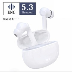 【新品未使用】ワイヤレスイヤホン Bluetooth 5.3 ワ...