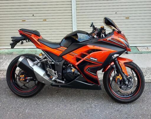 kawasaki ニンジャ250 スペシャルエディション　46845キロ