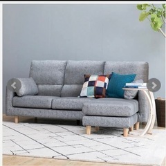 破格！東京インテリアで購入ソファー！！