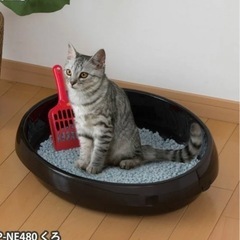 アイリスオーヤマ　猫トイレ黒