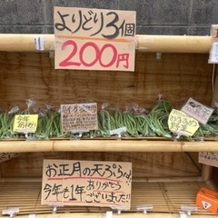 今年ラスト！平ざや島インゲン豆　3点200円！