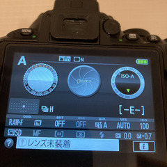 ジャンク品】Nikon D5500 標準&単焦点＆超広角 4点セット おまけ付き