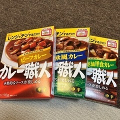 ★購入者決定 レトルトカレー 非常食 3食