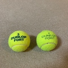 【無料】テニスボール2個