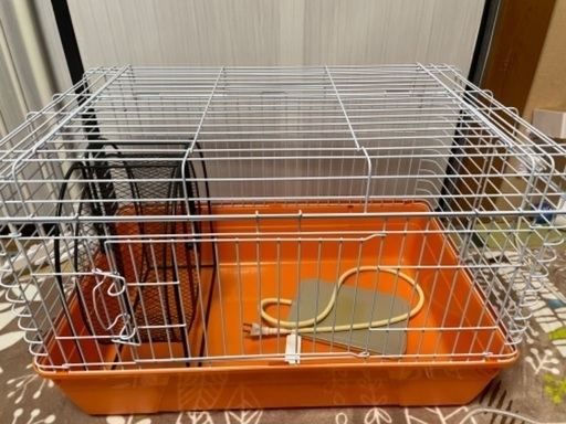 初めてのハリネズミ飼育セット
