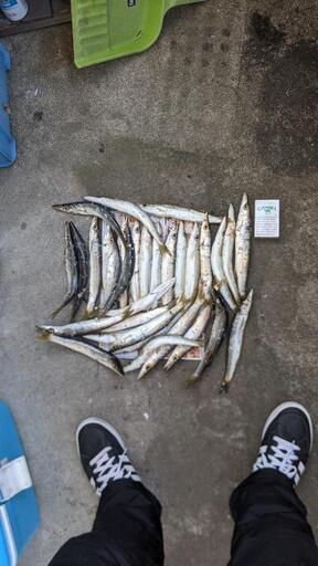釣り竿