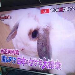 完売ありがとう！♢特典あり♢『この美しさ！』シャープ 液晶テレビ 60