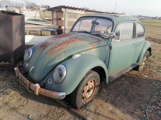 空冷vw キャンパストップ マヌエルトップ