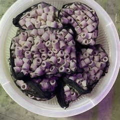 ❤気まぐれ半額セール!! オーバーフロー水槽セット（海水魚仕様）❤