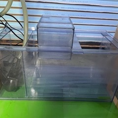 ❤気まぐれ半額セール!! オーバーフロー水槽セット（海水魚仕様）❤