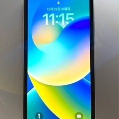 電波障害対策用iPhone11 128GB DSDS     S...