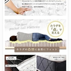 当時物 日産パオ 純正トノカバー