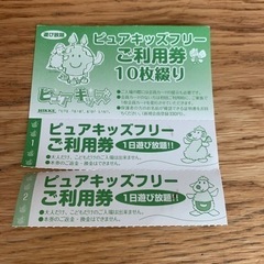 2/10まで！加古川ピュアキッズ１日フリー券1枚700円