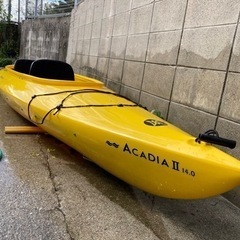 パーセプションの中古が安い！激安で譲ります・無料であげます(2ページ  