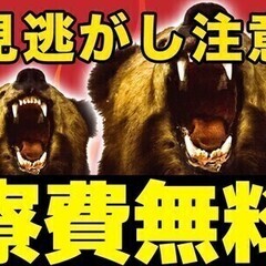 【日払い可】【製造】無料で住める単身寮あり◎身一つで仕事も住まい...