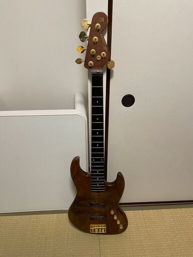 PGM ムーン・バルトリーニ   カスタムメイドギター