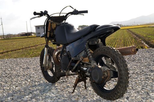 値下げ YAMAHA PW50 キッズバイク モトクロス 練習用等 | chiptuning