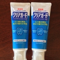 歯磨き粉2個セット
