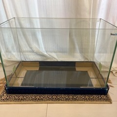 60cm フレームレスガラス水槽