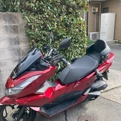 バイク用チャイルドシート　