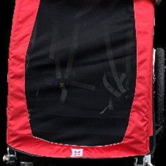 自転車用ベビーカー　Burley HONNEY BEE