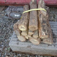 ②1/2用意分　乾燥済み　薪　　束にした薪　細めの広葉樹の薪を割...