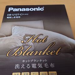 [値下げました]Panasonic DB-U12T-C [電気し...