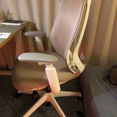 Okamura Sylphy(新品から1年使用)