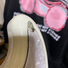 フジゲン Fujigen GH-S1 order