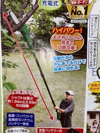 充電式高枝チェーンソーお話中