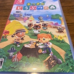 決まりました　激安　Nintendo Switch【あつまれどう...