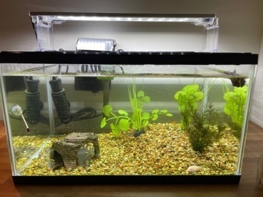 熱帯魚　水槽　フルセット