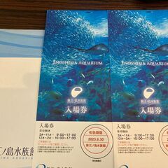 新江ノ島水族館(えのすい) 招待券半額以下